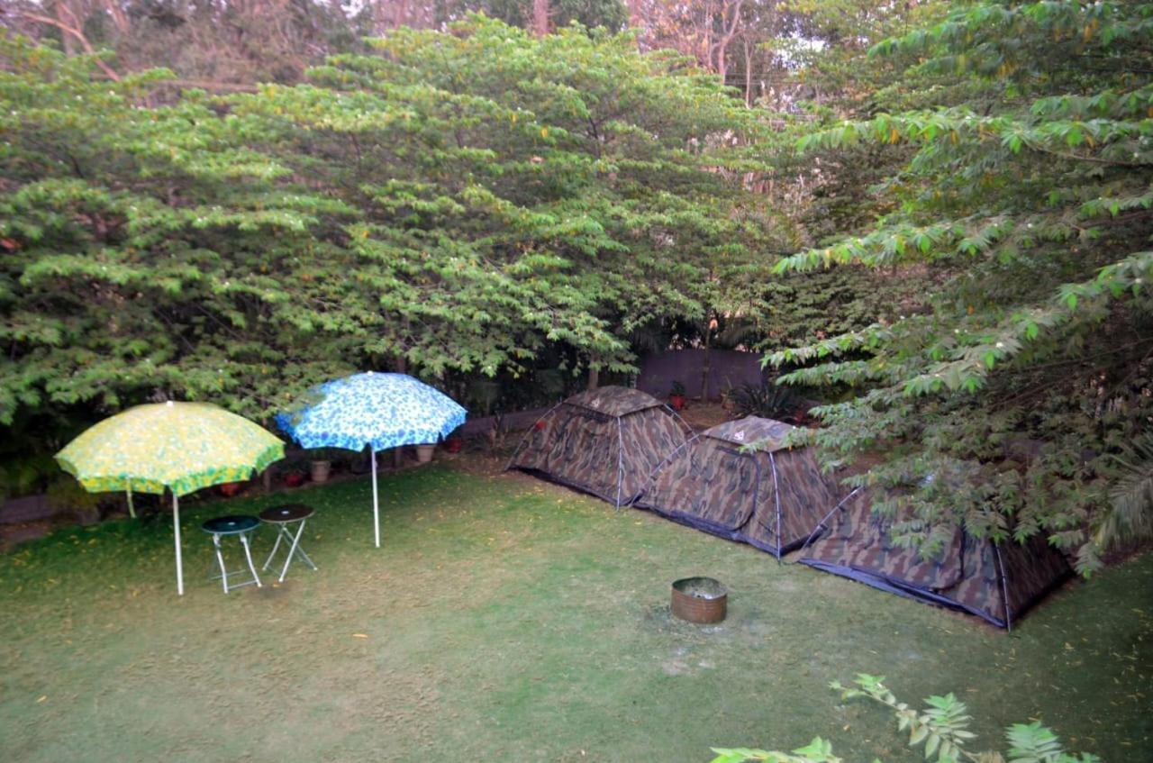 Dandeli Jungle Resort Exteriér fotografie