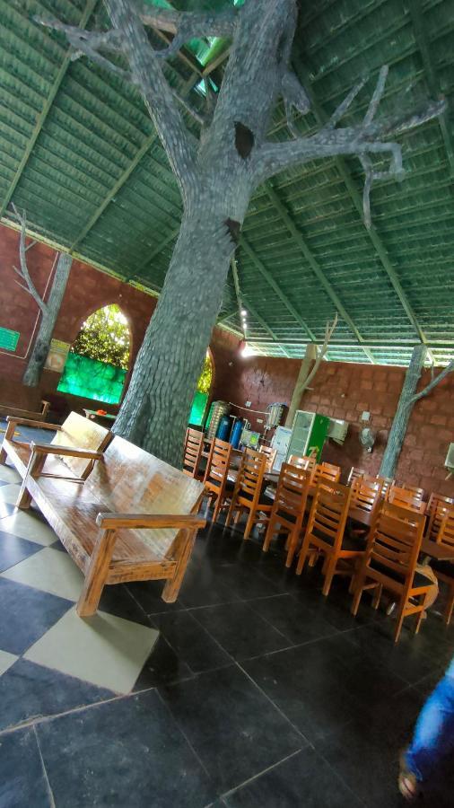 Dandeli Jungle Resort Exteriér fotografie