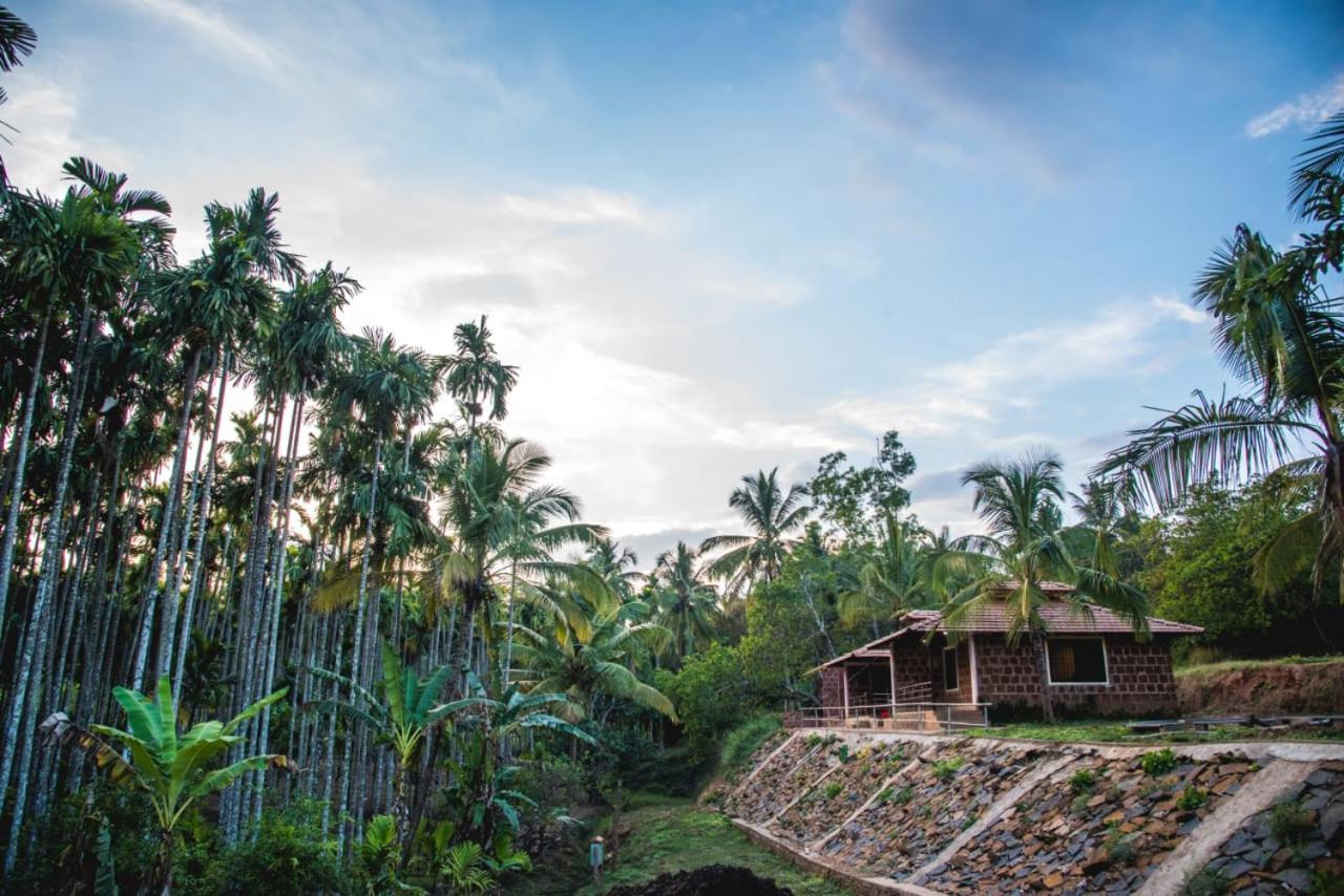 Dandeli Jungle Resort Exteriér fotografie