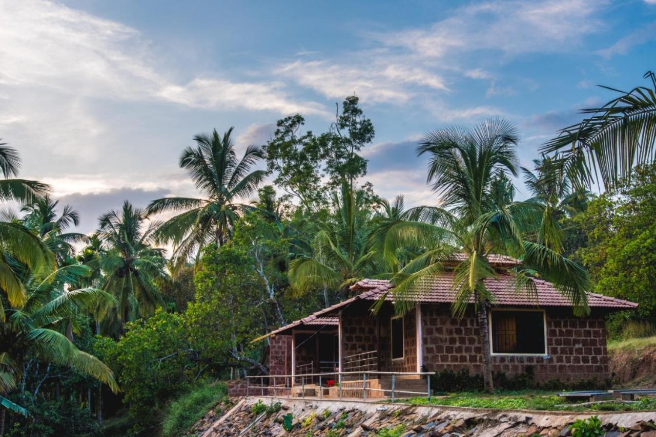 Dandeli Jungle Resort Exteriér fotografie