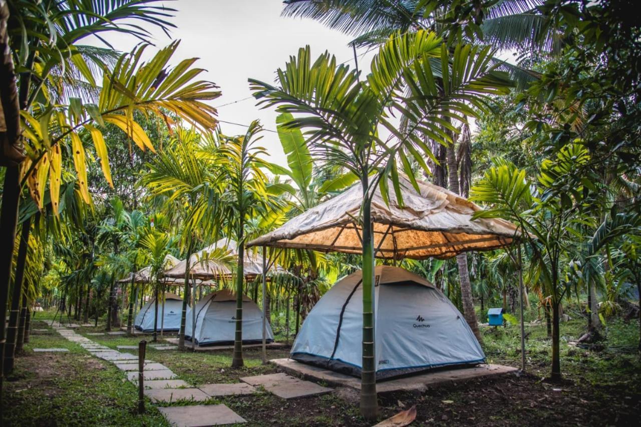 Dandeli Jungle Resort Pokoj fotografie
